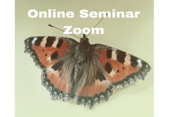 Online Seminar Zoom Uta Devone