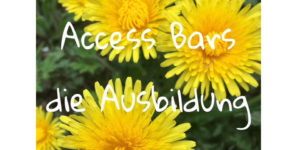 Der neue Access Bars Kurs, mit drei Körperprozessen 19.05.18 @ Trier