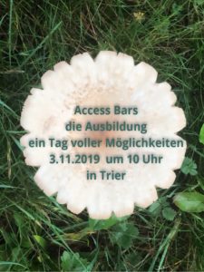 Der neue Access Bars Kurs, in Trier @ Praxis Seelenmission