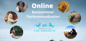 Online Tierkommunikation
